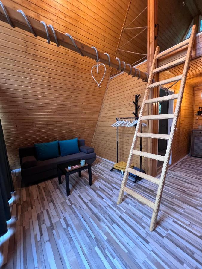 Cabane A-Frame Svinita Buitenkant foto