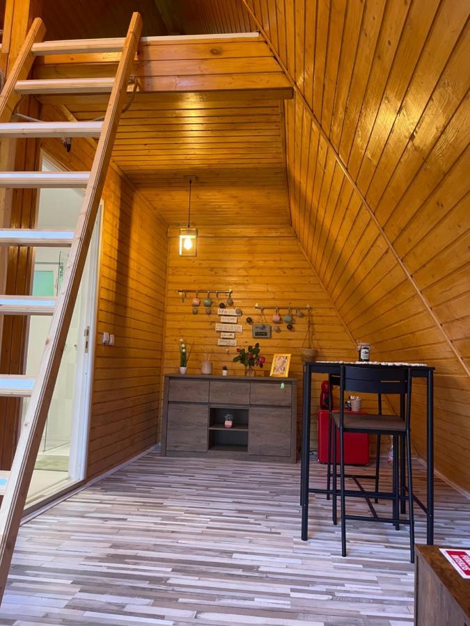 Cabane A-Frame Svinita Buitenkant foto