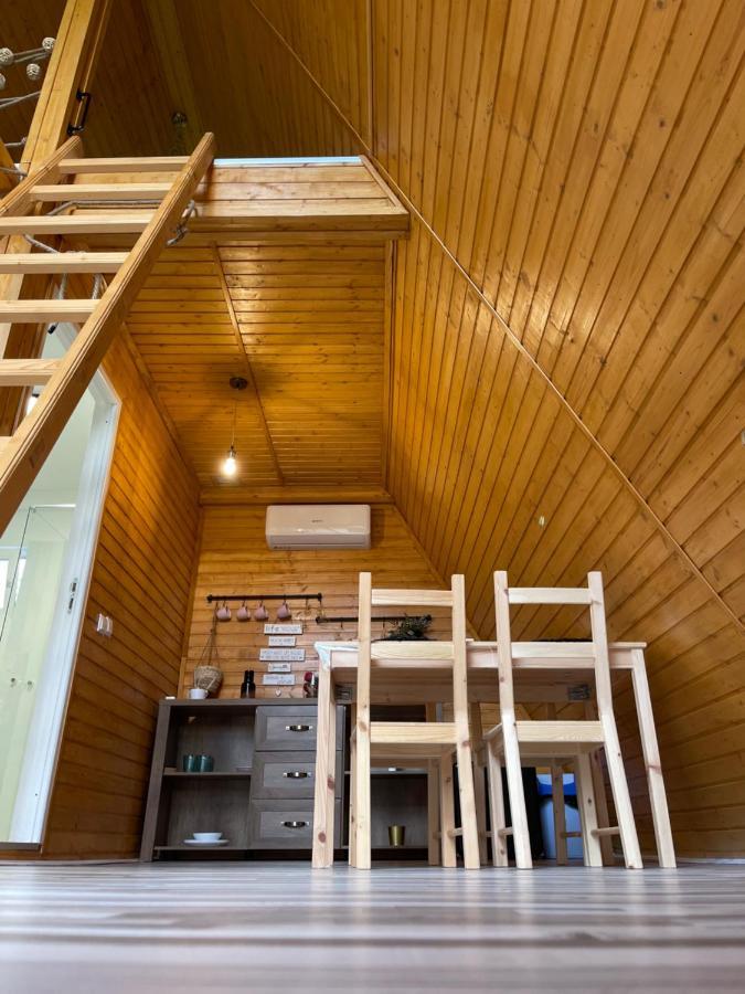 Cabane A-Frame Svinita Buitenkant foto