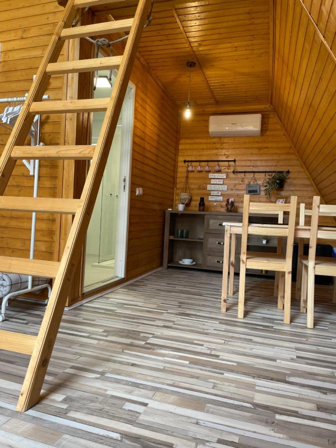 Cabane A-Frame Svinita Buitenkant foto