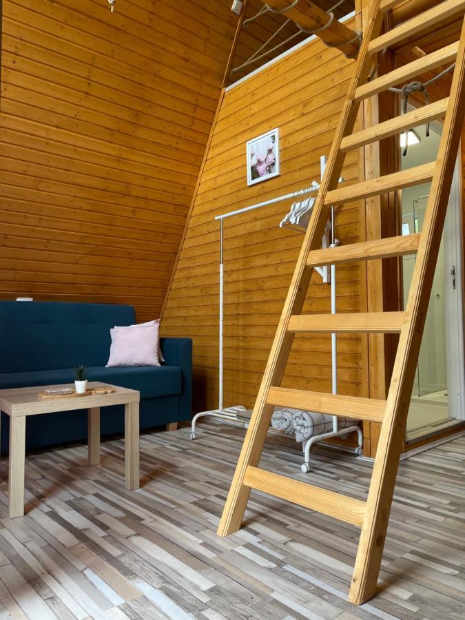 Cabane A-Frame Svinita Buitenkant foto