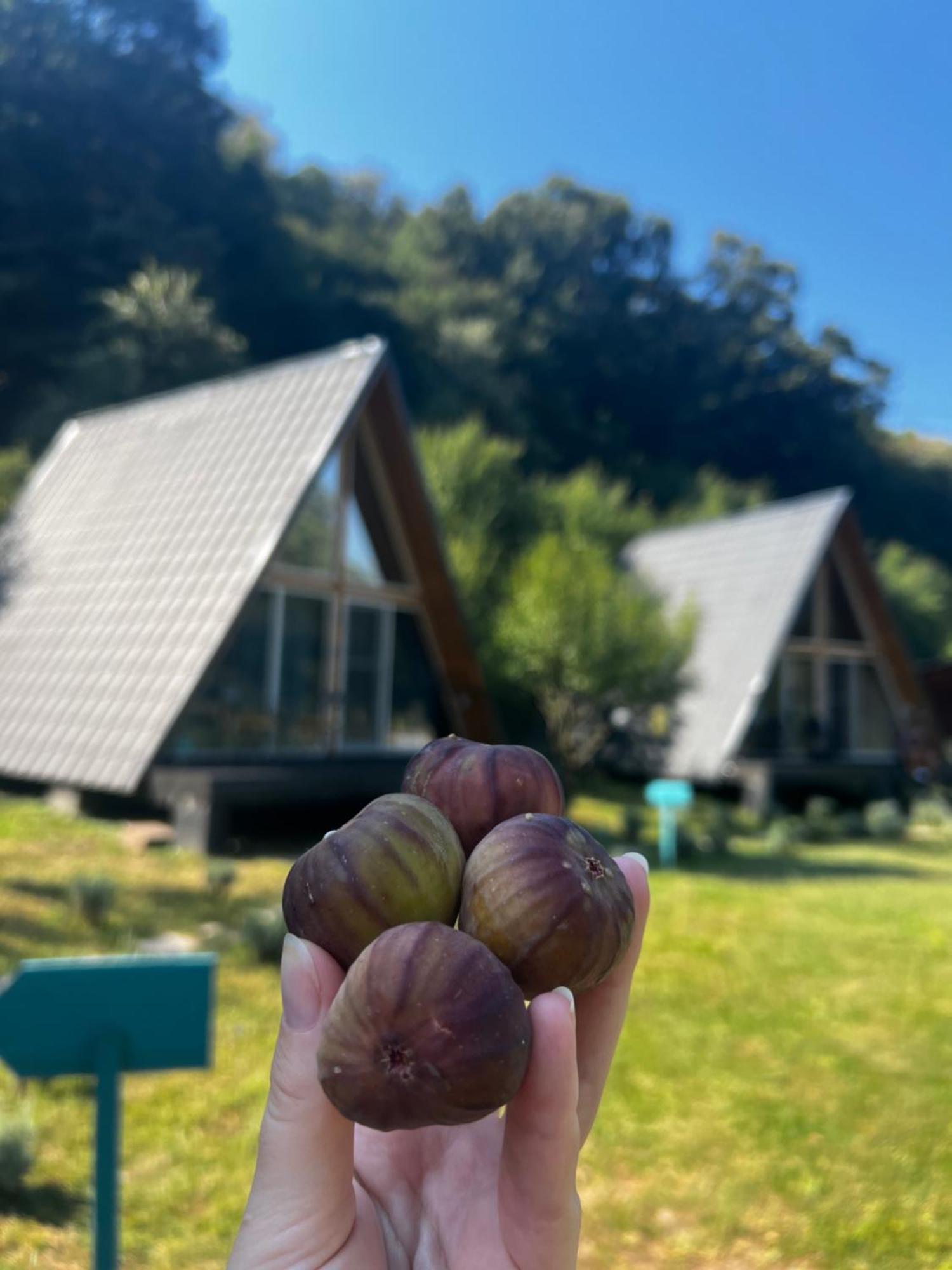 Cabane A-Frame Svinita Buitenkant foto