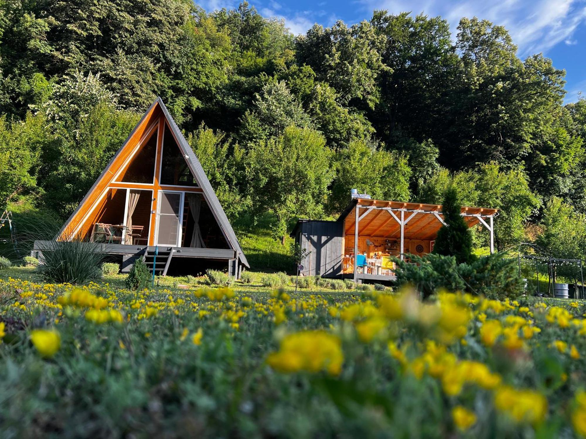 Cabane A-Frame Svinita Buitenkant foto