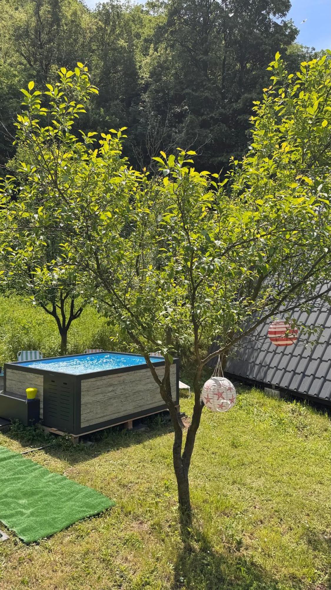Cabane A-Frame Svinita Buitenkant foto