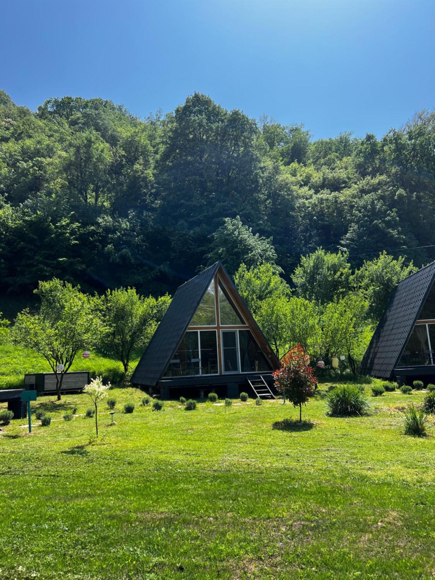 Cabane A-Frame Svinita Buitenkant foto